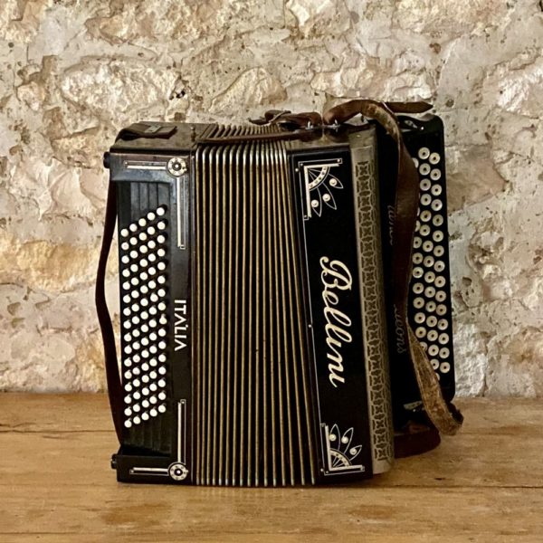 SCAEVOLA ACCORDEON ANCIEN