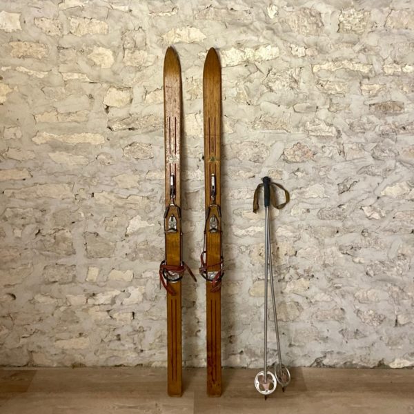 ABUTILON SKIS VINTAGE