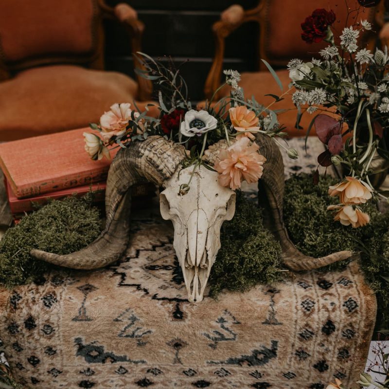 Elopement Wild Romance